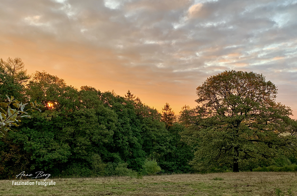 Oktober 2019 Sonnenaufgang