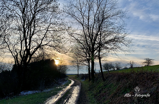 Januar 2021 -Delle-