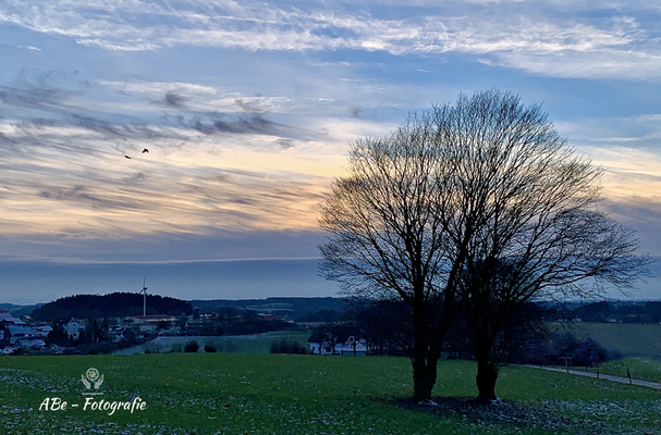Januar 2021 -Delle-