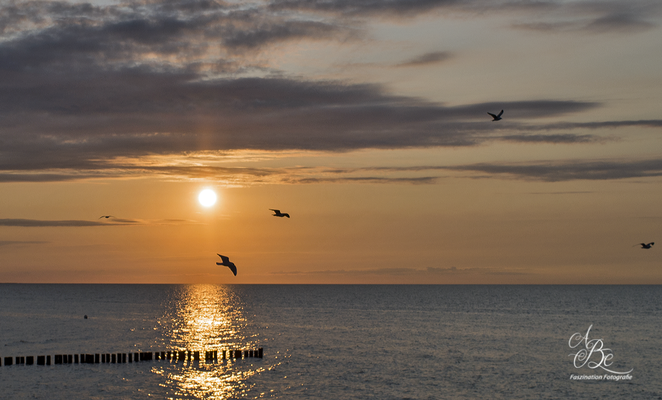 Abendstimmung in Zingst  -Mai 16-