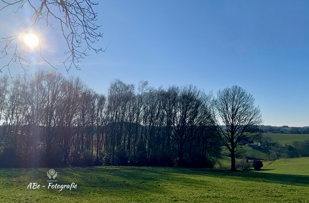 Januar 2020 Wintersonne