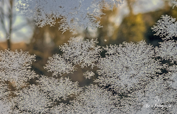 März 2021 -Eisblumen am Fenster-