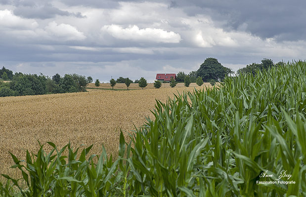 Breckerfeld  -Juli17- 