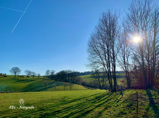 Januar 2020 Wintersonne