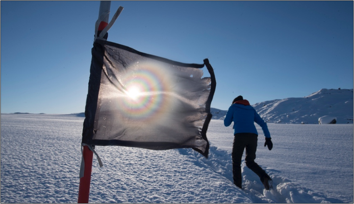 Sue beim Polar Circle Marathon. Bildquelle: Marathon-Photos.com