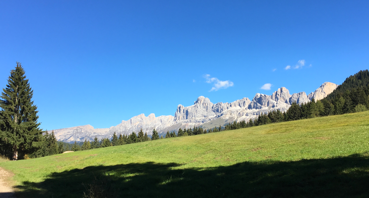 Letzter Blick auf die Rosengarten Westwand, dem Ausgangs- und Endpunkt der Tour.