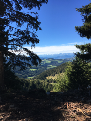 Blick vom Karer Wald nach Westen über das Bozener Becken