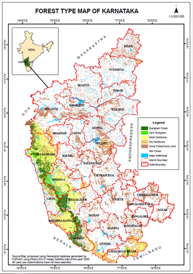 Karnataka Forest