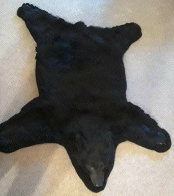 09.30.18 Black Bear (1)