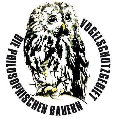 2017 - Brown Owl (Strix aluco)