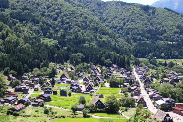 荻町城跡展望台より白川郷一望
