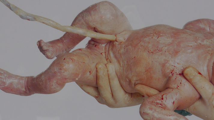 OLIVIERO TOSCANI Neonata (Giusy), 1991-92, Archivio Benetton (seen at Centro Culturale Chiasso, Switzerland, for the exhibition "Oliviero Toscani. Immaginare", January 2018)