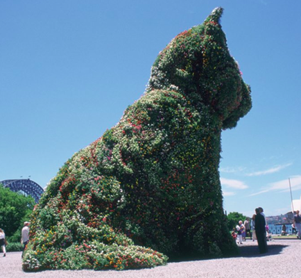JEFF KOONS, Puppy, 1992, installation view, MCA, 1996 (from the Museum of Contemporary Art Australia website)