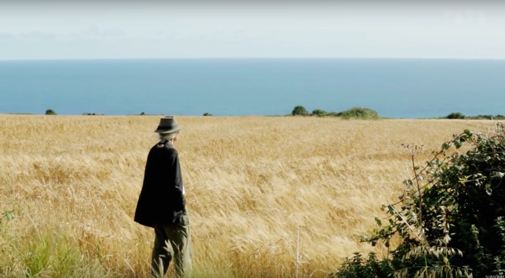 RICARD COOK looking at the horizon (from a documentary about him, seen on Youtube)