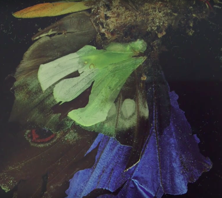 MAT COLLISHAW