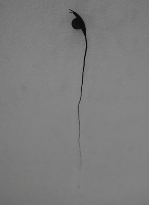 A snail on a ceiling of the GAM, Torino