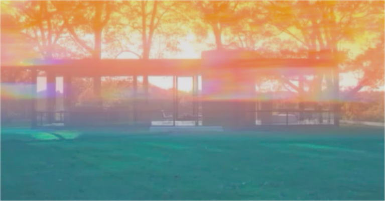 JAMES WELLING