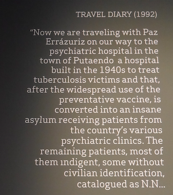 PAZ ERRAZURIZ ("Poetics of dissent", Paz Errázuriz, Lotty Rosenfeld - seen at the 56th Venice Biennial, 2015, Chilean Pavillion)