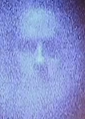 BILL VIOLA
