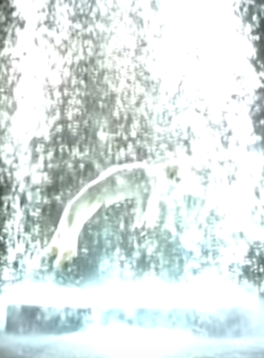 BILL VIOLA "Tristram's Ascension"