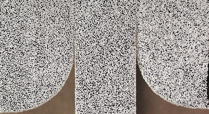 CAROLIN CHENG