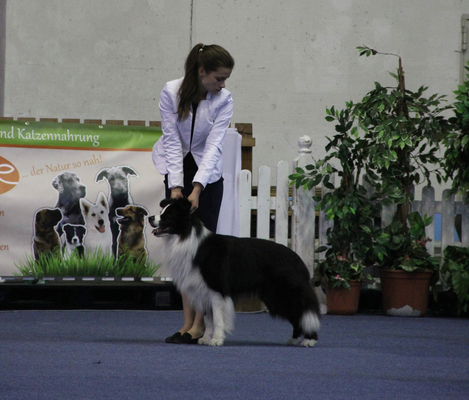 IHA Klagenfurt 2016