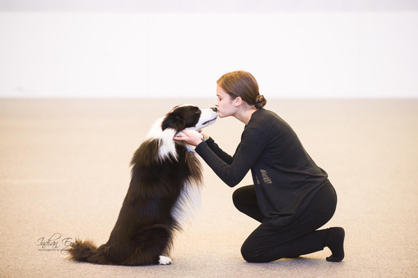 Dogdance European Championship