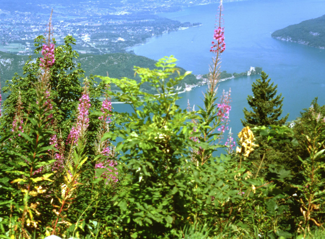 See Annecy Lac d'Annecy