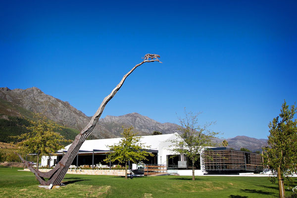 Weingut Leopards Leap