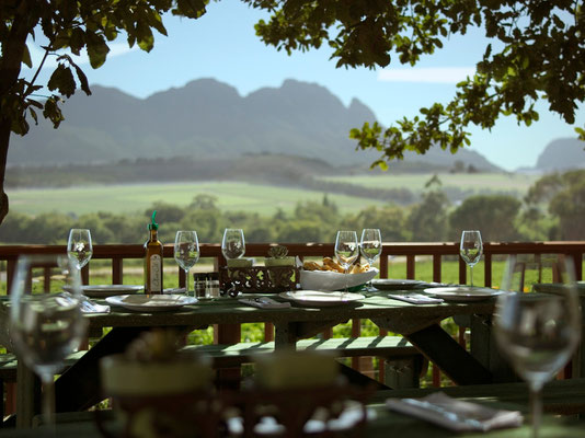 Weingut Beyerskloof