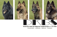 Wurftagebuch A Wurf Zuchter Belgische Schaferhunde Groenendael Tervueren Stefnic S Belgier