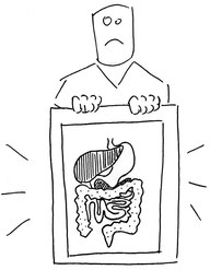 dessin systeme digestif