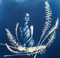 Découverte du cyanotype par la composition florale et autres procédés photographiques