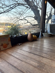 JIKE STUDIO の cafeの窓際に作品を置いていただいております。