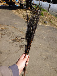 茅葺屋根の差し茅作業　古茅は畑の肥しに①