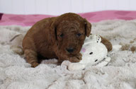 Betty, 3. Woche