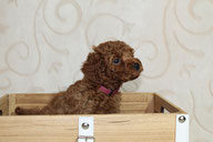 Betty, 6. Woche