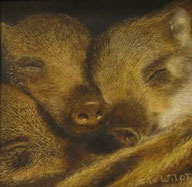 10 x 10 cm  olieverf op paneel  Suzan te Wildt