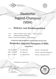 Deutscher Jugend-Champion VDH