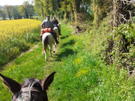 Ranch du Lévézou, Coeur de Bastié chambre d'hôtes, gite étape cavalier