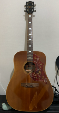Gibson humming bird 1974年製