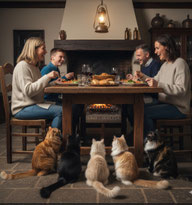Katzensitter in Wuppertal, Katzensitting, Katzenbetreuung, Tierbetreuung