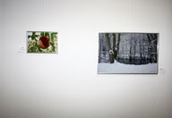 15 Meine Fotografien "Pfirsich" und "Wald im Winter"/My photos "Pfirsich" and "Wald im Winter"