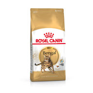 Alimentation Bengal croquette chaton (kitten) - Elevage Tribal Bengal - Royal Canin