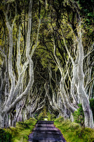 Sieger Thema Landschaft / Ewald Kugler