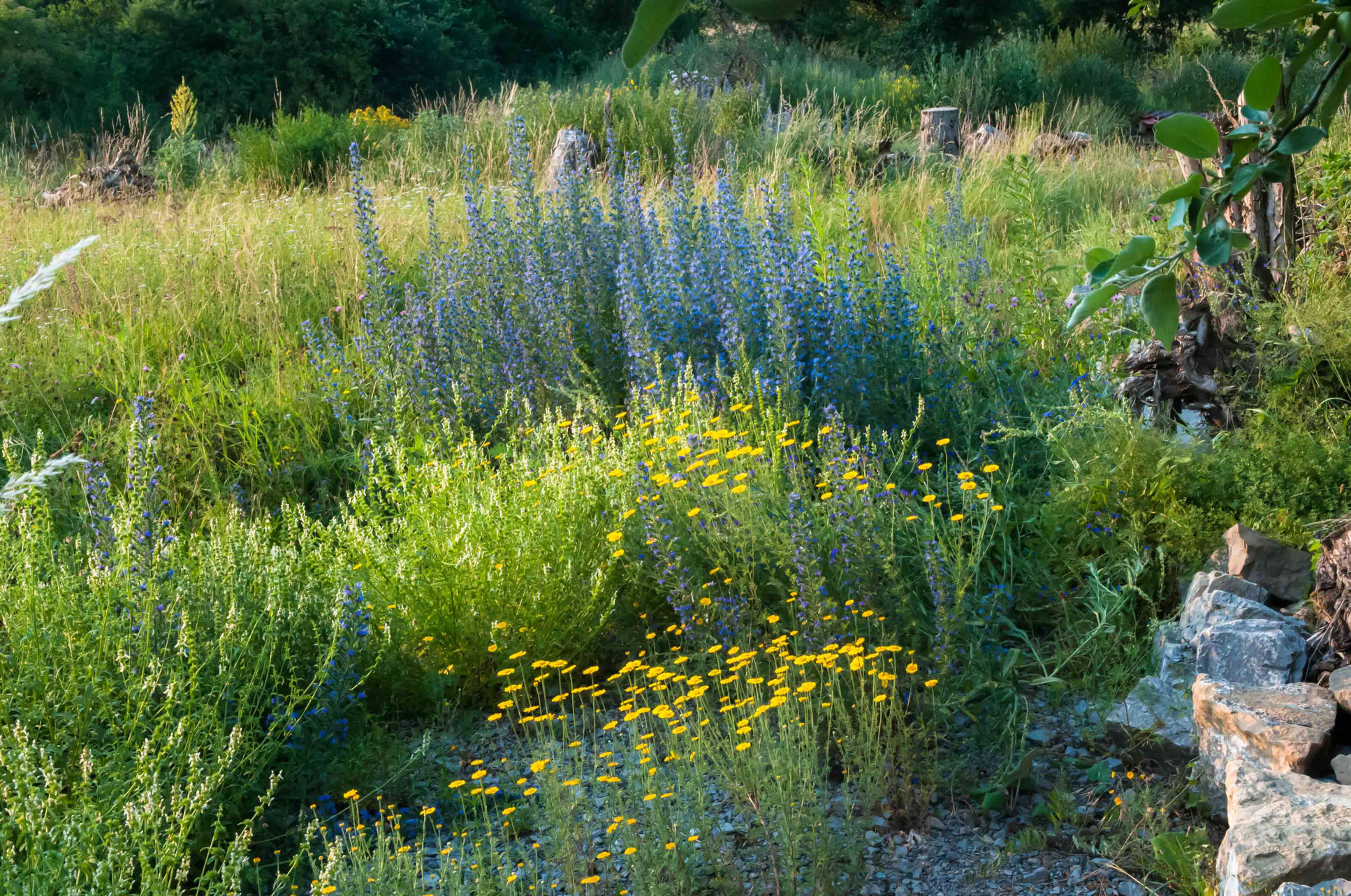 Infos Rund Um Lebendige Garten Lebendige Gaerten Ahnatals Webseite