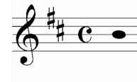 サン　サーンス　ヴァイオリン　協奏曲　第３番　重音　音程　取り方　ルール　バイオリン　レッスン　教室