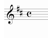 サン　サーンス　ヴァイオリン　協奏曲　第３番　重音　音程　取り方　ルール　バイオリン　レッスン　教室