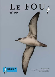 GEOCA, Groupe d'Etudes Ornithologiques des Côtes-d'Armor, ornithologie, observation oiseaux Côtes-d'Armor, avifaune Côtes-d'Armor, revue trimestrielle, Le Fou, publication GEOCA, Bretagne, Côtes-d'Armor