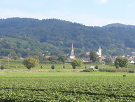 Radtouren in der Kurpfalz 